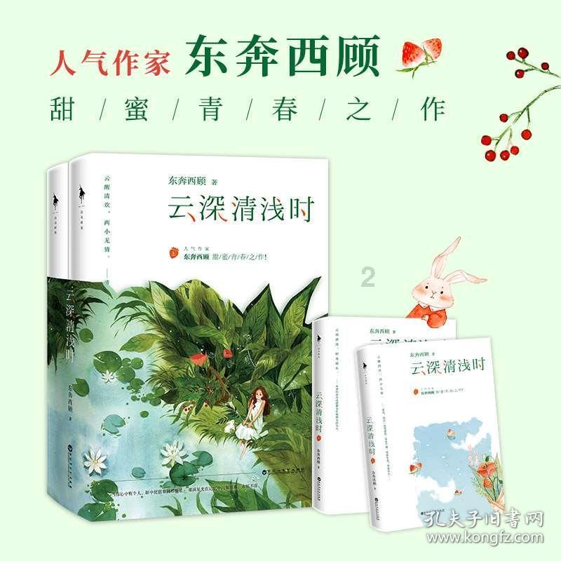 茜杰和莉斯大改造